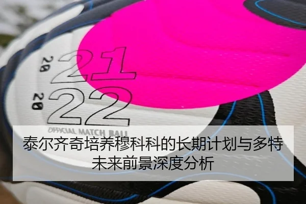 泰尔齐奇培养穆科科的长期计划与多特未来前景深度分析（pg）